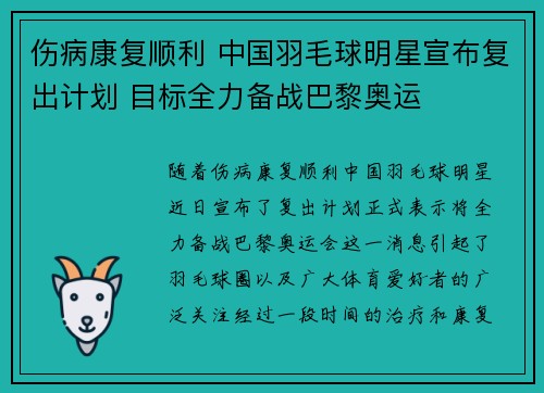 伤病康复顺利 中国羽毛球明星宣布复出计划 目标全力备战巴黎奥运
