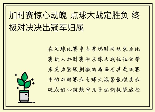 加时赛惊心动魄 点球大战定胜负 终极对决决出冠军归属