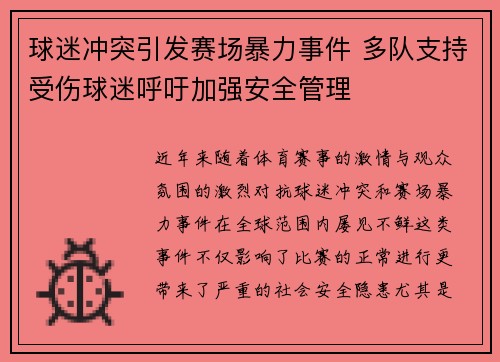 球迷冲突引发赛场暴力事件 多队支持受伤球迷呼吁加强安全管理